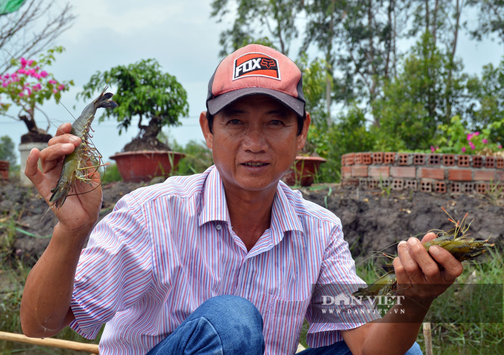 Nông dân nuôi tôm, cua khác người, chỉ thu hoạch con to bự, thu tiền tỷ mỗi năm - Ảnh 3.