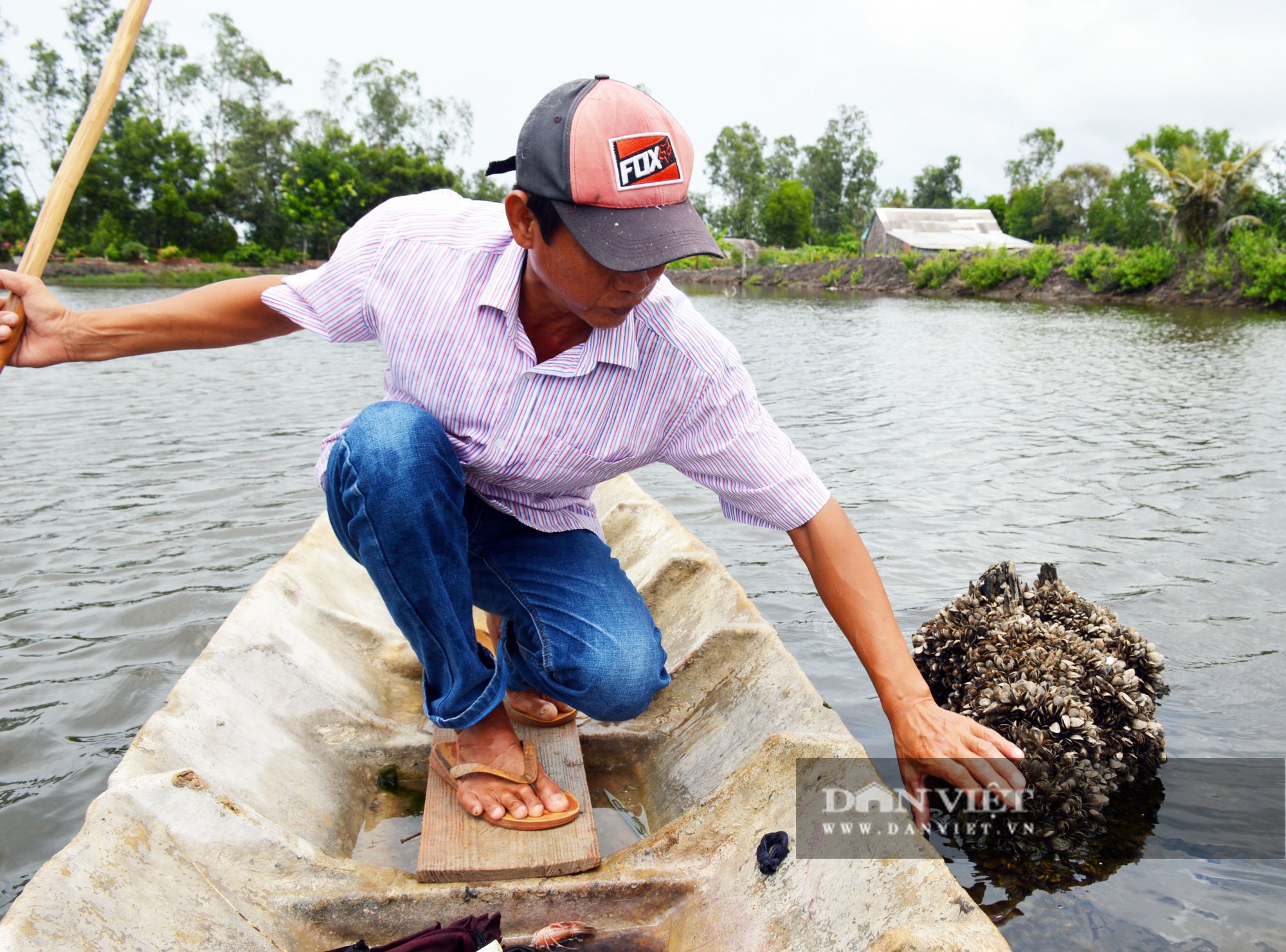 Nông dân nuôi tôm, cua khác người, chỉ thu hoạch con to bự, thu tiền tỷ mỗi năm - Ảnh 4.