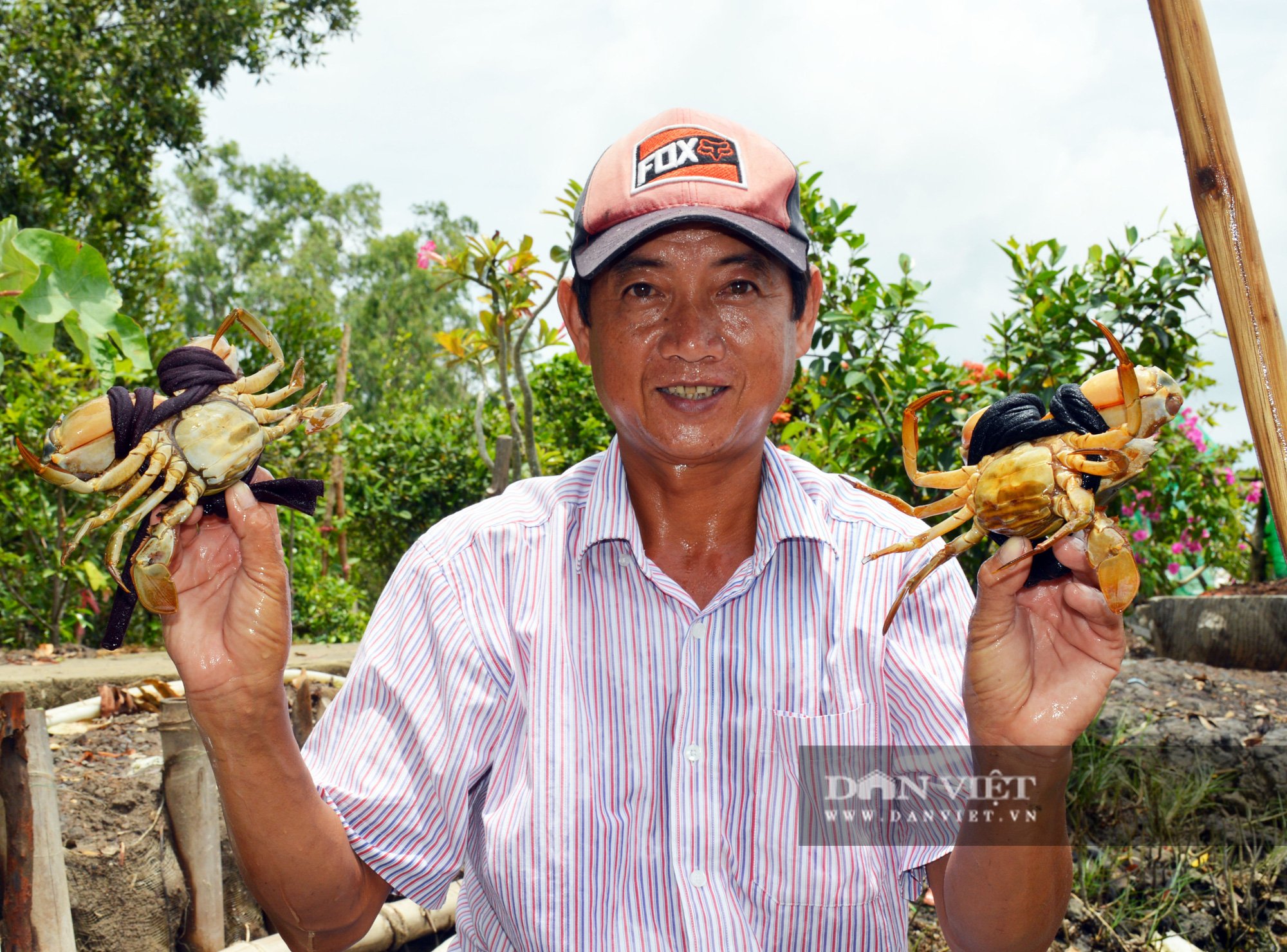 Nông dân nuôi tôm, cua khác người, chỉ thu hoạch con to bự, thu tiền tỷ mỗi năm - Ảnh 7.