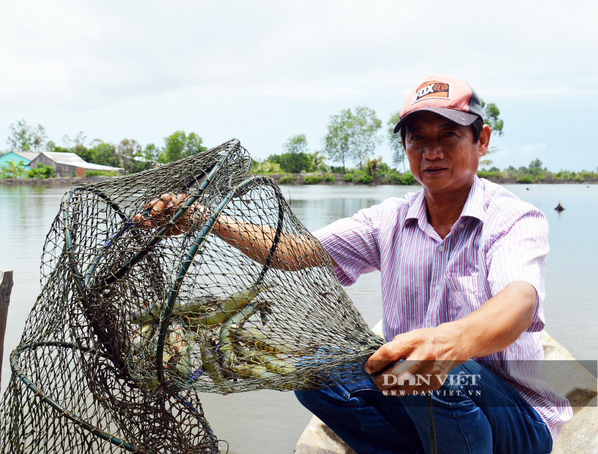 Nông dân nuôi tôm, cua khác người, chỉ thu hoạch con to bự, thu tiền tỷ mỗi năm - Ảnh 6.
