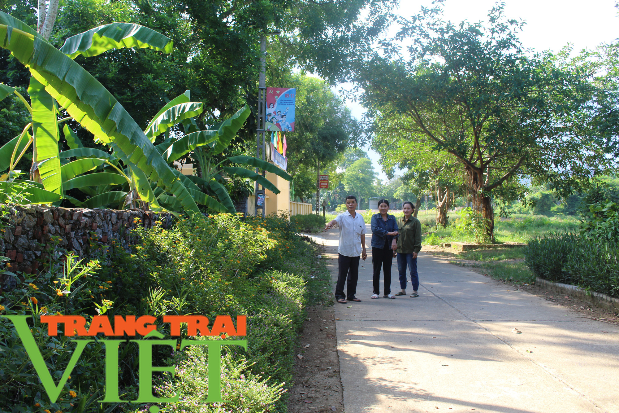 Lương Sơn xây dựng đồng bộ đường giao thông nông thôn - Ảnh 1. Lương Sơn xây dựng đồng bộ đường giao thông nông thôn - Ảnh 1.