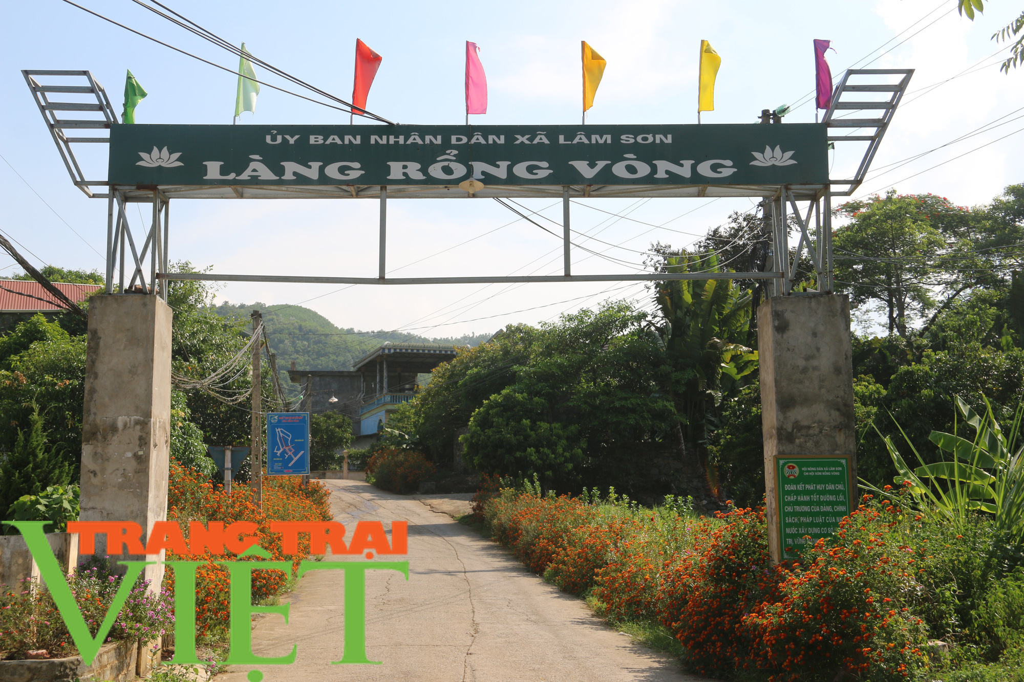 Lương Sơn xây dựng đồng bộ đường giao thông nông thôn - Ảnh 4. Lương Sơn xây dựng đồng bộ đường giao thông nông thôn - Ảnh 4.