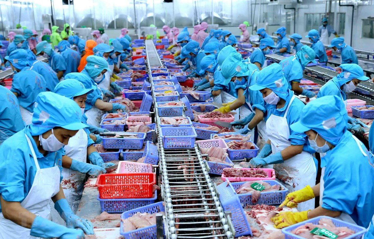 Tôm, cá Việt Nam “bơi” qua Mỹ có thể gặp rào cản vì lý do… “thao túng tiền tệ”  - Ảnh 1.