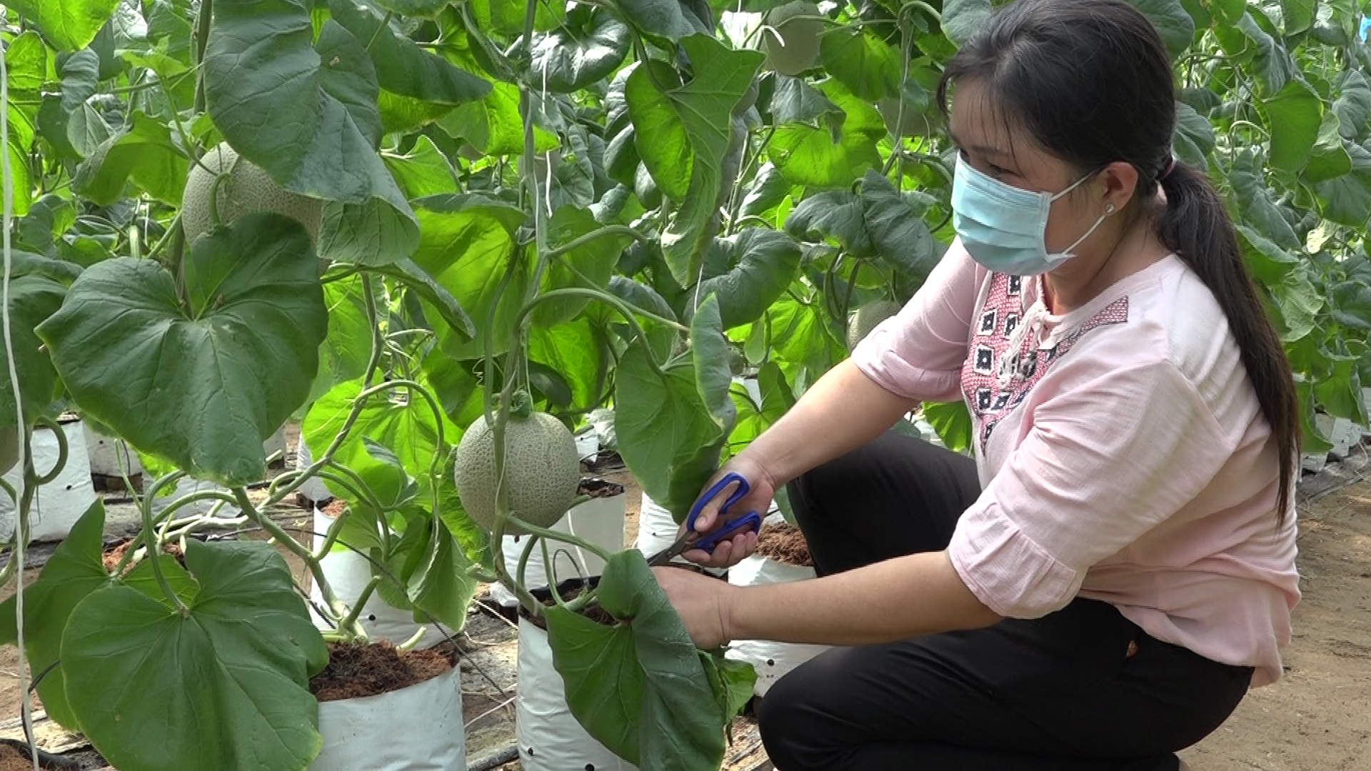 Sớm đưa huyện Bình Chánh lên quận - Ảnh 1.
