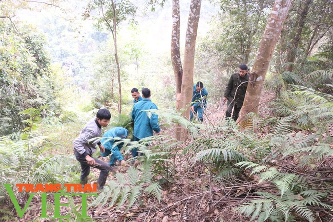 Mường La chủ động phòng cháy, chữa cháy rừng - Ảnh 3.