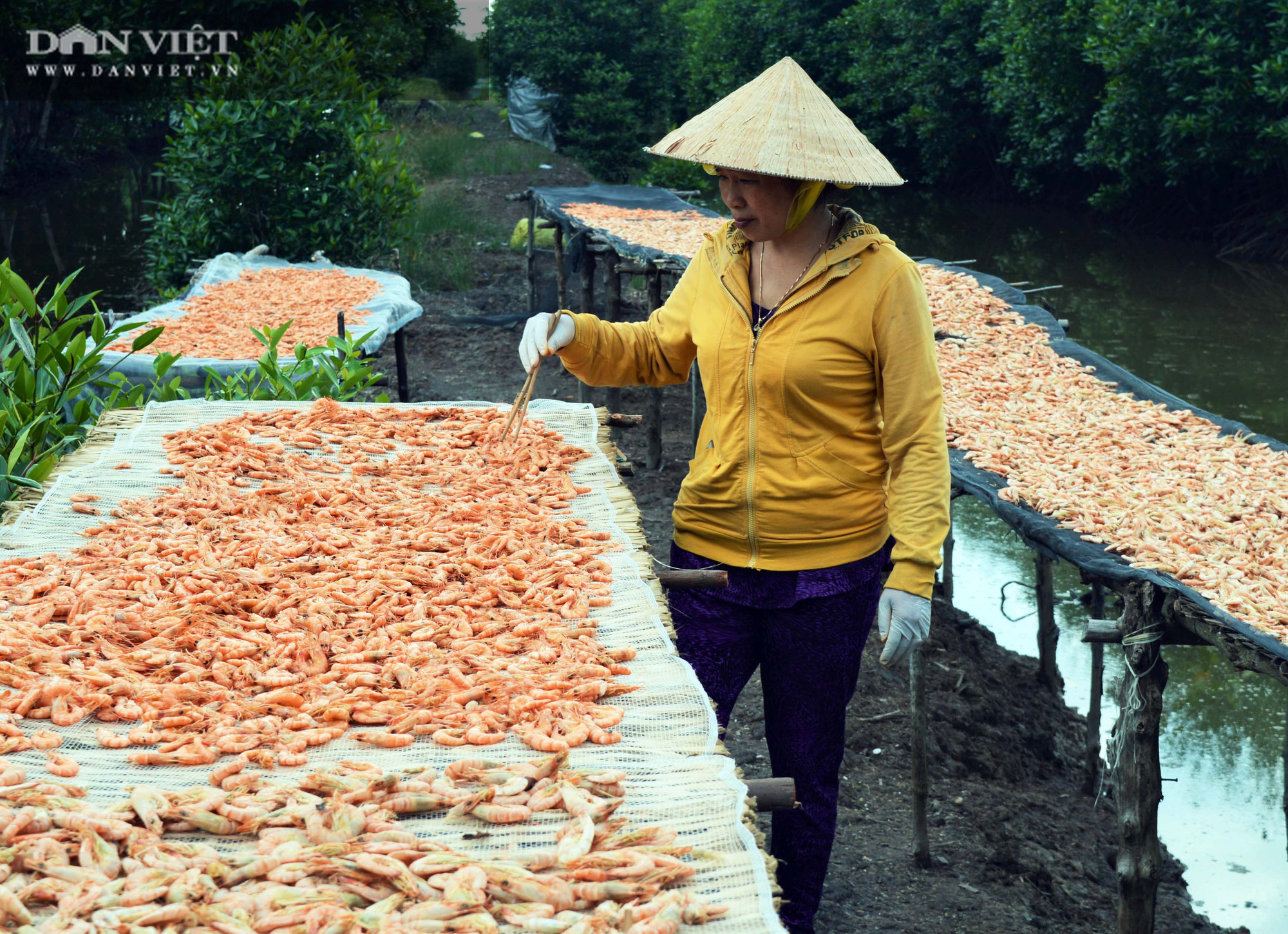 Tết Tân Sửu 2021: Giá tôm khô Rạch Gốc tăng “chóng mặt” - Ảnh 4.