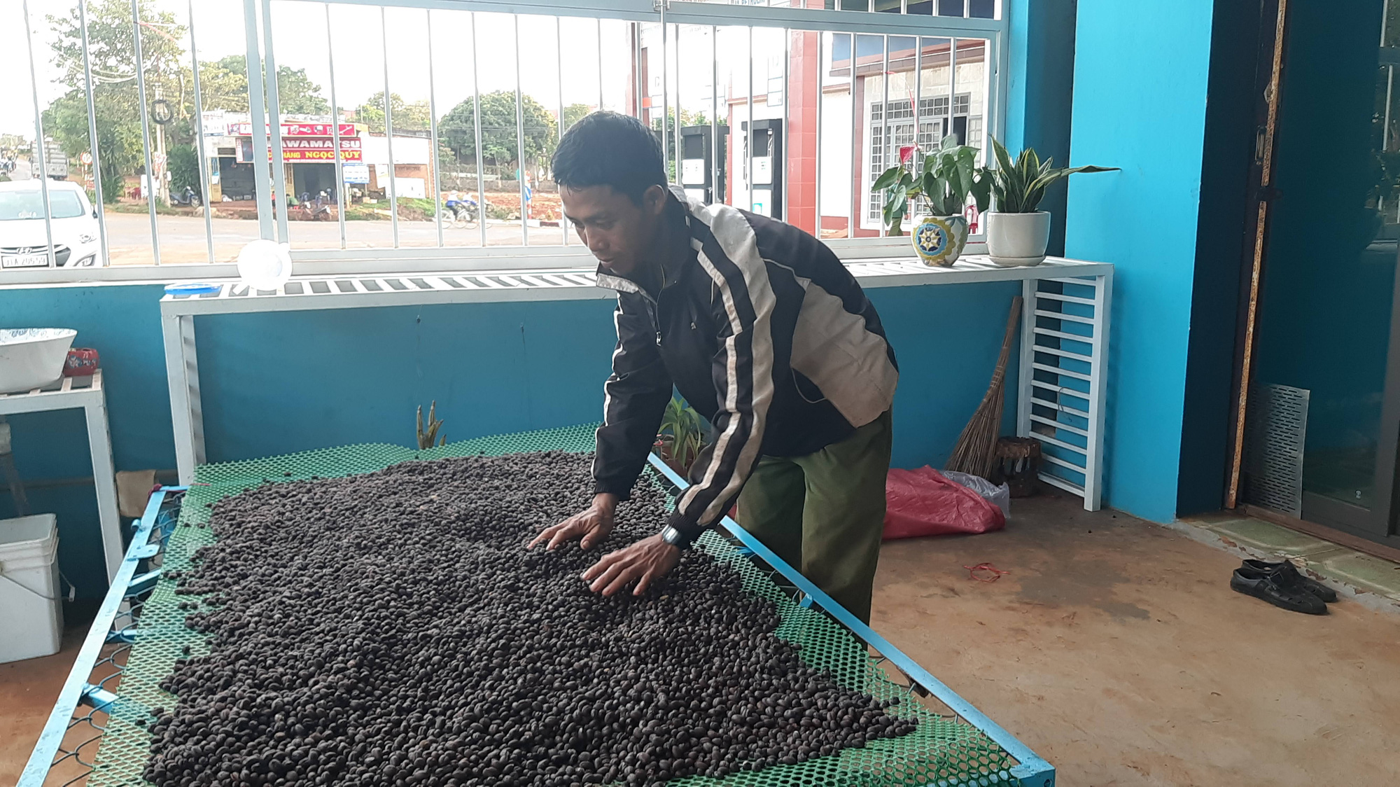 Nông dân bắt tay nâng giá  trị hạt cà phê  - Ảnh 2.