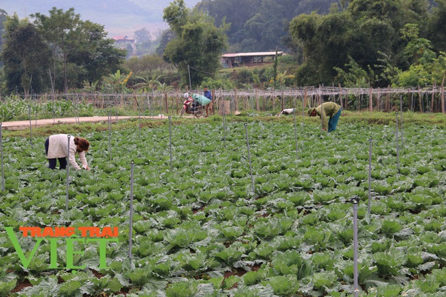 Mộc Châu có xã đầu tiên đạt chuẩn nông thôn mới nâng cao - Ảnh 6.