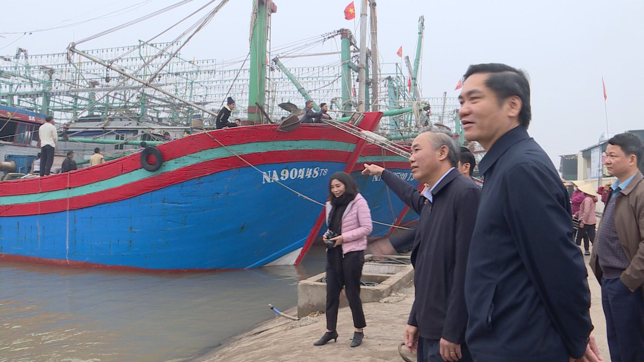 Nghệ An: Triển khai các biện pháp mạnh phòng, chống khai thác hải sản bất hợp pháp   - Ảnh 3.