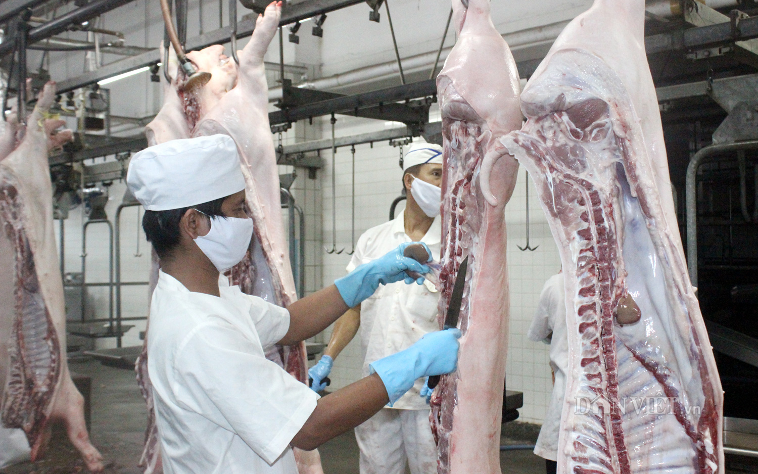 Thịt nóng, thịt nguội “giải toán Covid” - Ảnh 1.