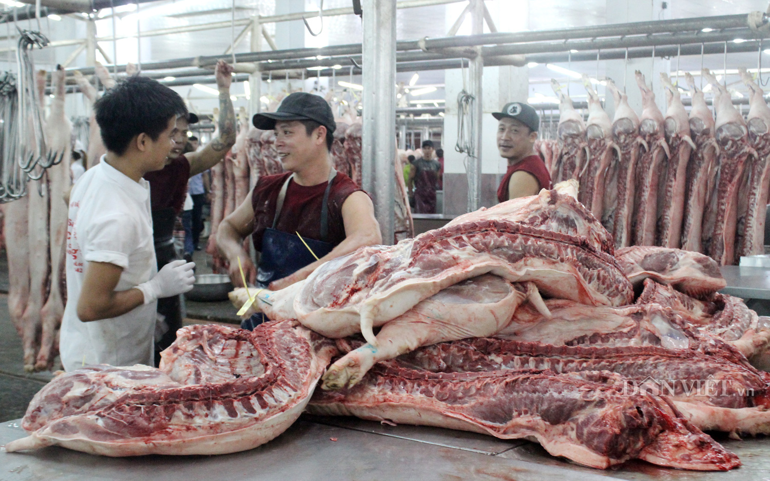 Thịt nóng, thịt nguội “giải toán Covid” - Ảnh 2.