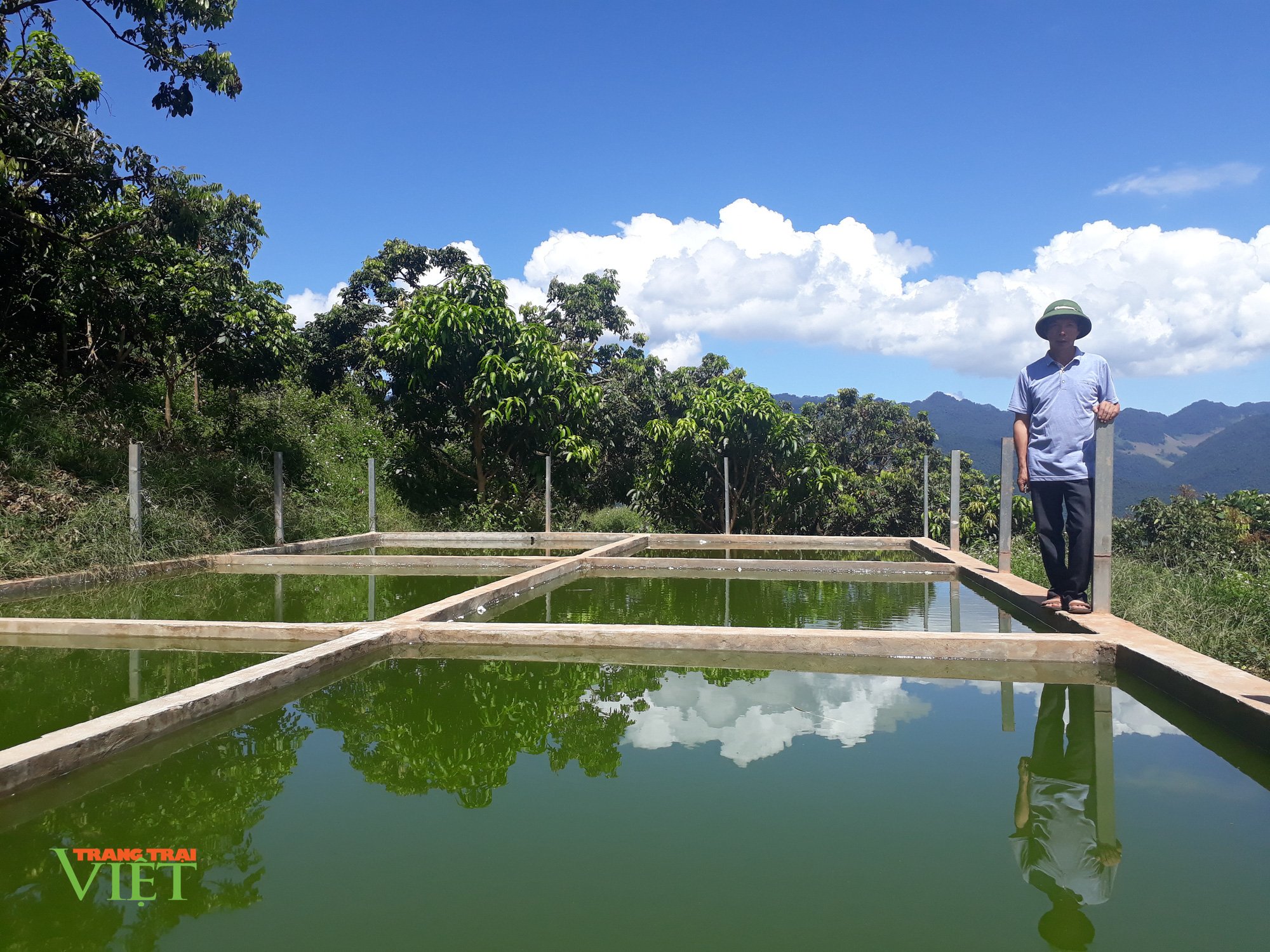 Trồng 20ha cây ăn quả, lão nông miền sơn cước thành tỷ phú - Ảnh 3. Trồng 20ha cây ăn quả, lão nông miền sơn cước thành tỷ phú - Ảnh 3.