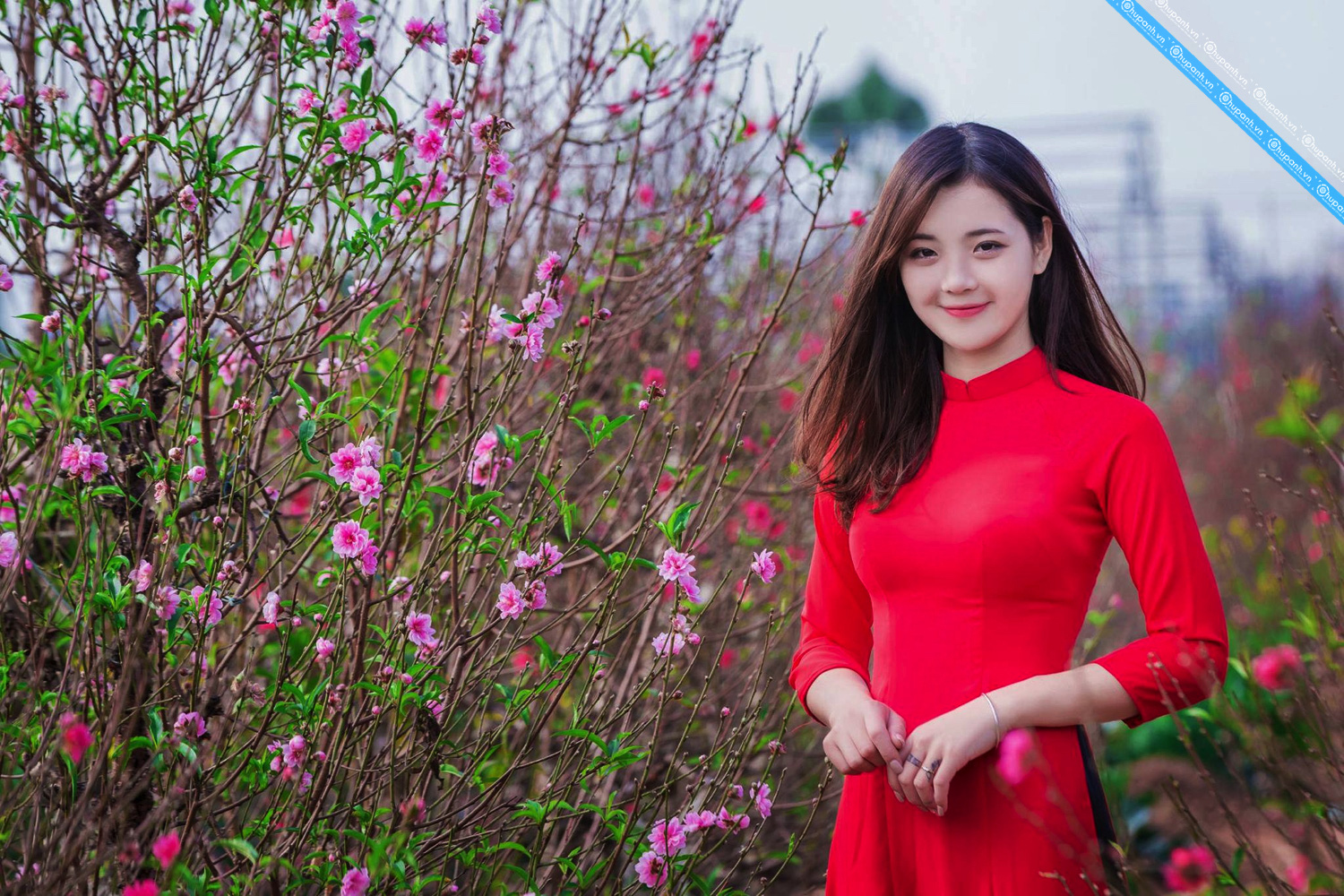 Giờ và hướng xuất hành cho người tuổi Tý dịp Tết Tân Sửu 2021 - Ảnh 1.