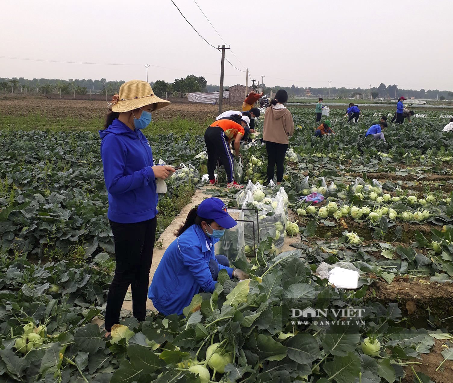 tiêu thụ nông sản 1.jpg