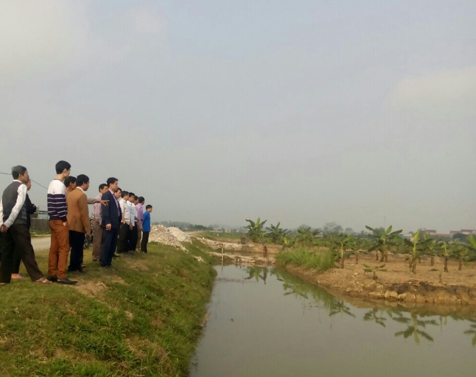 Trồng chuối kết hợp nuôi thuỷ sản, lợi cả đôi  đường - Ảnh 4.