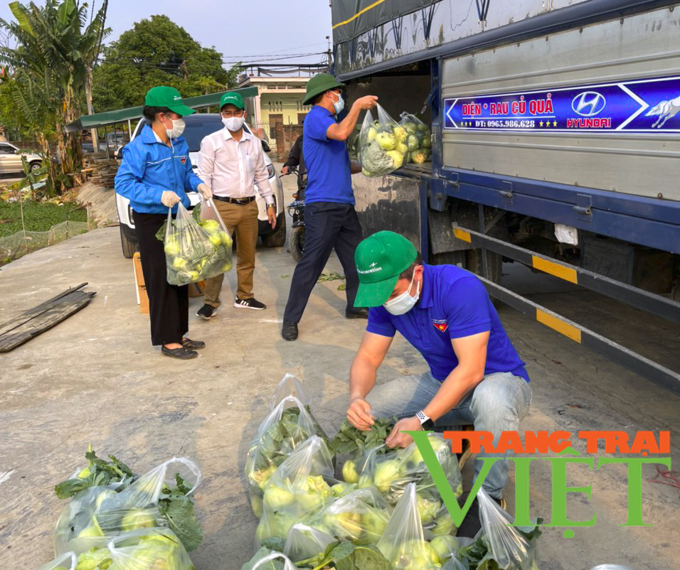 Tuổi trẻ Hải Dương chung tay cùng nông dân "giải cứu" nông sản - Ảnh 8. Tuổi trẻ Hải Dương chung tay cùng nông dân "giải cứu" nông sản - Ảnh 8.