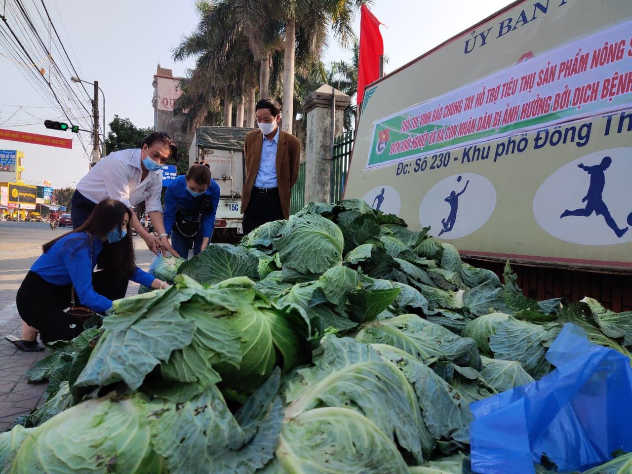 Lan tỏa phong trào “giải cứu” nông sản cho nông dân nhiều huyện tại Hải Phòng - Ảnh 4.