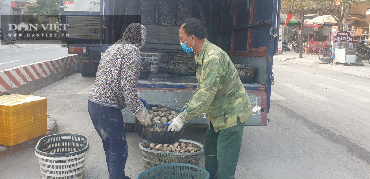 Hải sản Vân Đồn hối hả xuất bến sau lệnh phong tỏa - Ảnh 10.