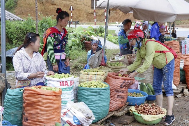 Tuần Giáo: Để sản phẩm OCOP đem lại nguồn thu nhập cao - Ảnh 2.