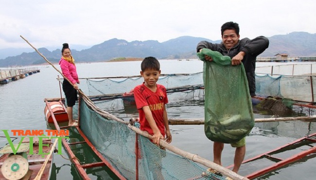 Quỳnh Nhai mở rộng quy mô nuôi cá lồng theo chuỗi giá trị bền vững - Ảnh 3.