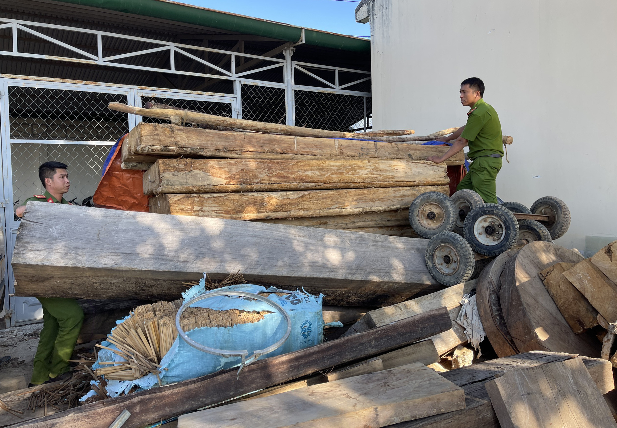 Vụ rừng pơ mu quý hiếm bị tàn phá: Chủ rừng nói gì? - Ảnh 3.