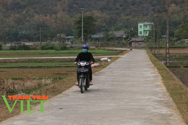 Mai Châu: Phát huy vai trò của đảng viên trong xây dựng nông thôn mới - Ảnh 3.