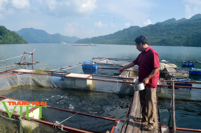 Mai Châu: Phấn đấu nâng cao thu nhập cho người dân để xóa nghèo - Ảnh 7.