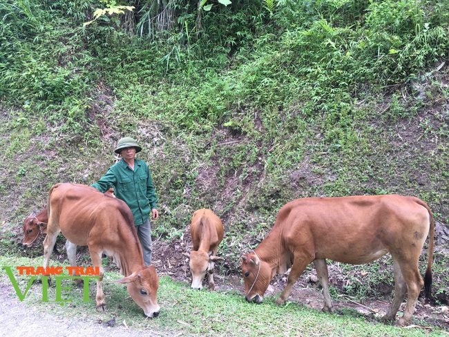 Mai Châu: Phấn đấu nâng cao thu nhập cho người dân để xóa nghèo - Ảnh 4.