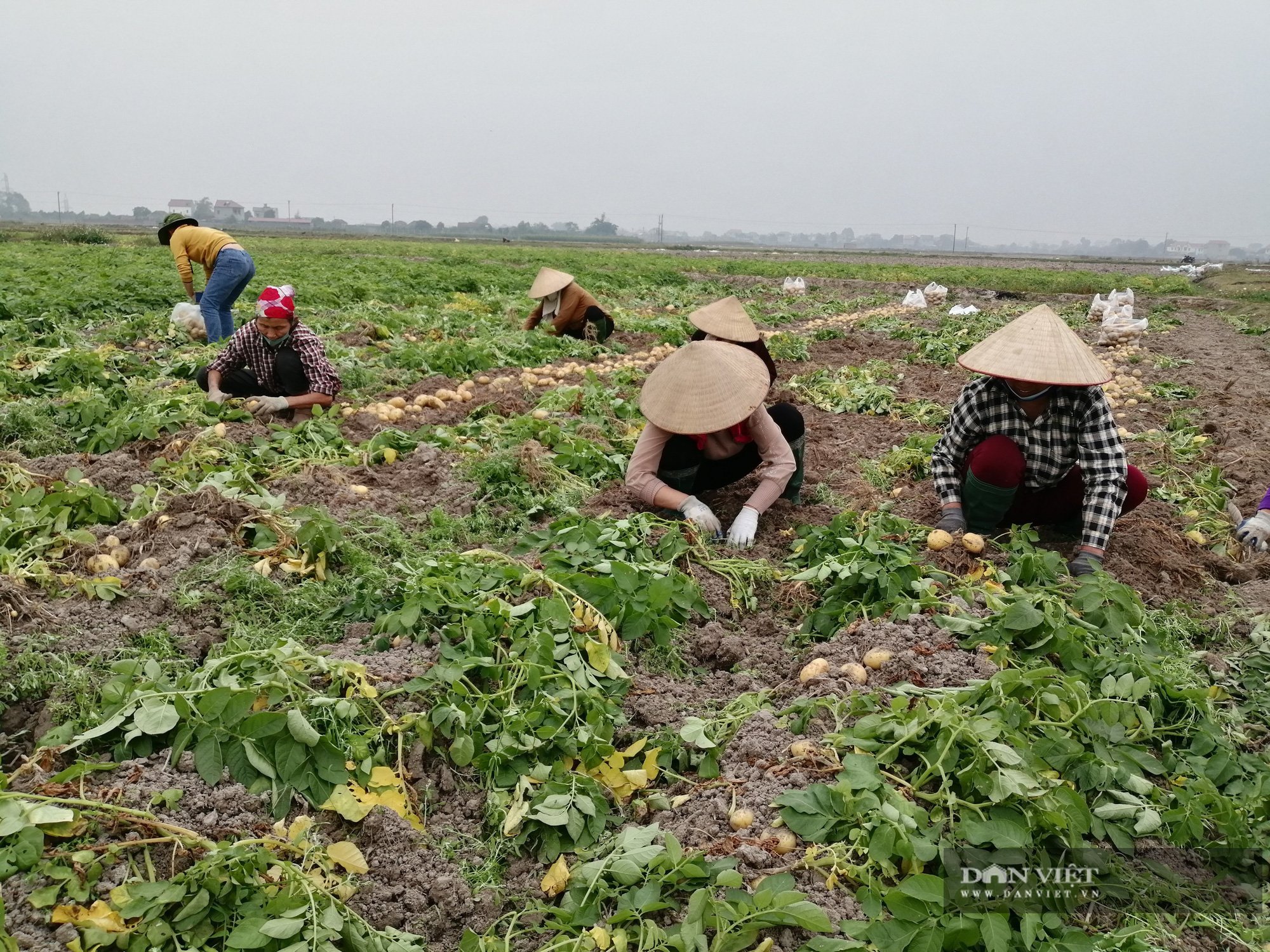 Bắc Giang - Ảnh 2.