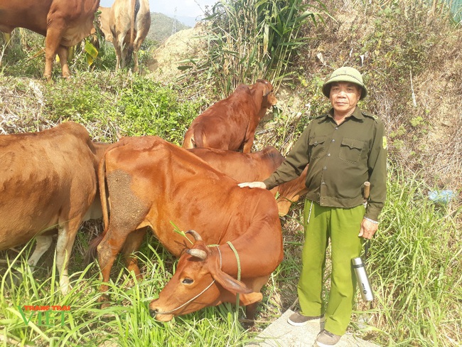 Chỉ nuôi bò sinh sản, cựu trưởng công an xã rủng rinh tiền tiêu - Ảnh 1.