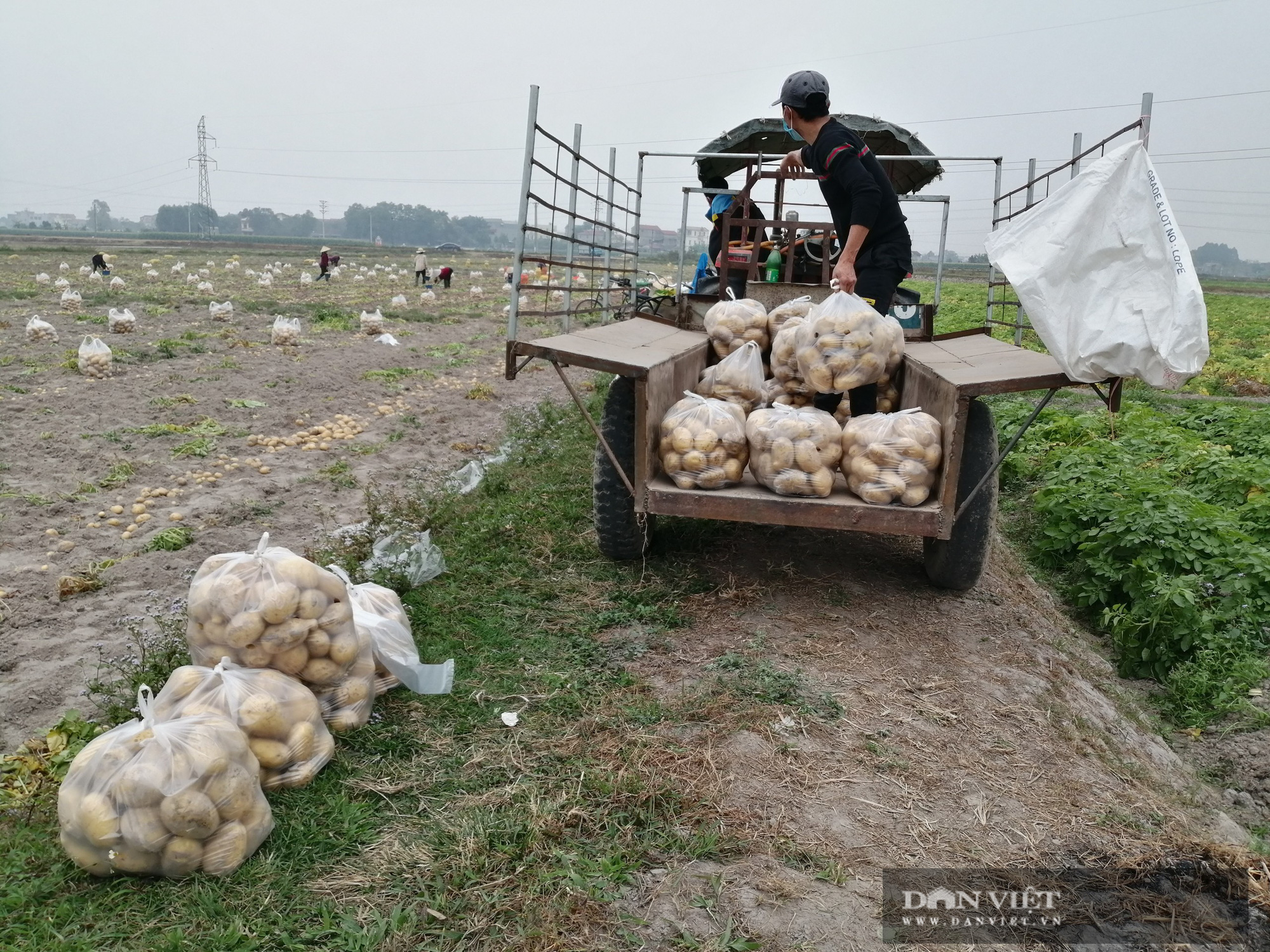 Bắc Giang - Ảnh 3.