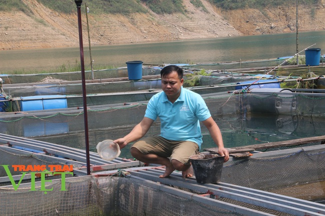 Trai Mường nuôi cá lồng, có con dài cả mét lượn lờ như “tàu ngầm” - Ảnh 6.