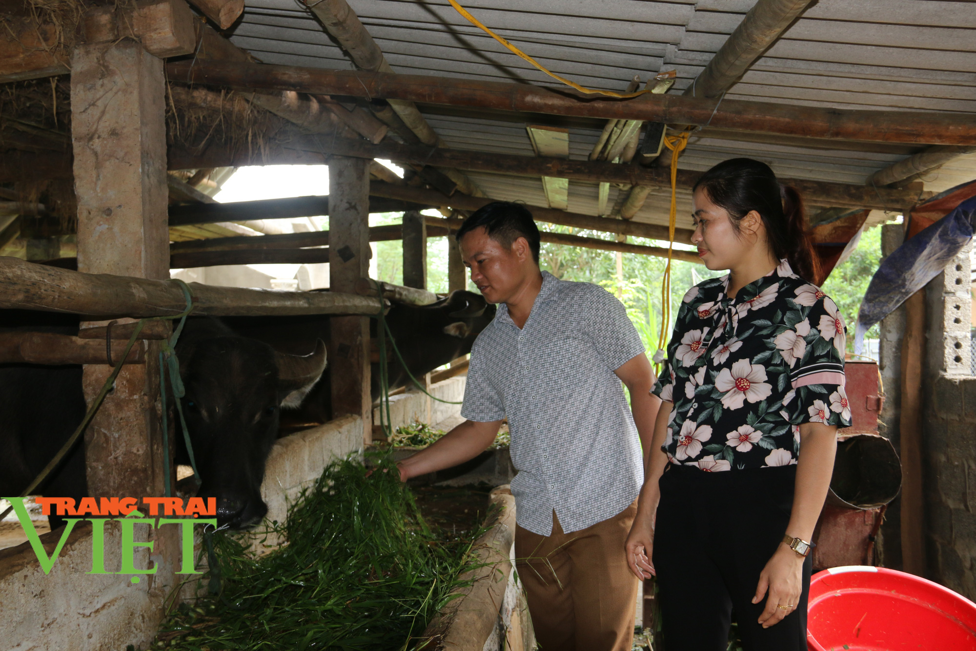 Hoà Bình: Từ sản xuất nông nghiệp manh mún, lạc hậu chuyển sang mô hình sản xuất hàng hoá - Ảnh 4. Hoà Bình: Từ sản xuất nông nghiệp manh mún, lạc hậu chuyển sang mô hình sản xuất hàng hoá - Ảnh 4.
