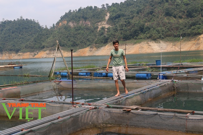 Nuôi cá lồng ở sông Đà, ngư dân lòng hồ đút túi hàng trăm triệu - Ảnh 5.