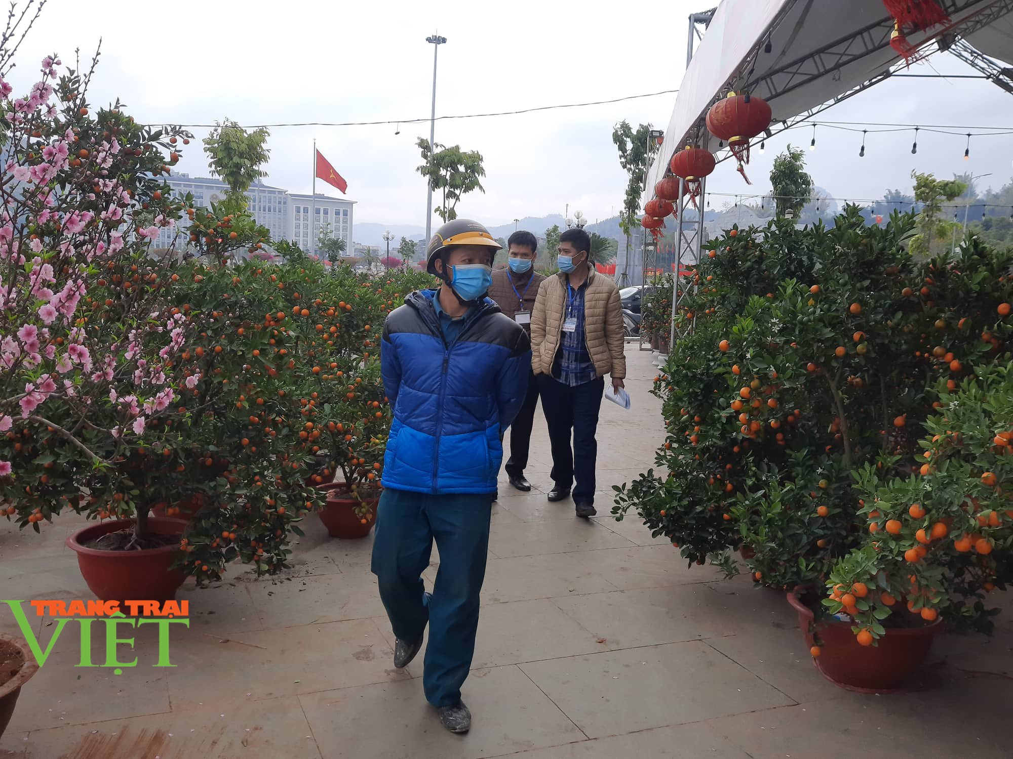 Chùm ảnh: Nhộn nhip khách mua sắm đào, mai quất cảnh… ngày cận Tết - Ảnh 10. Chùm ảnh: Nhộn nhip khách mua sắm đào, mai quất cảnh… ngày cận Tết - Ảnh 10.