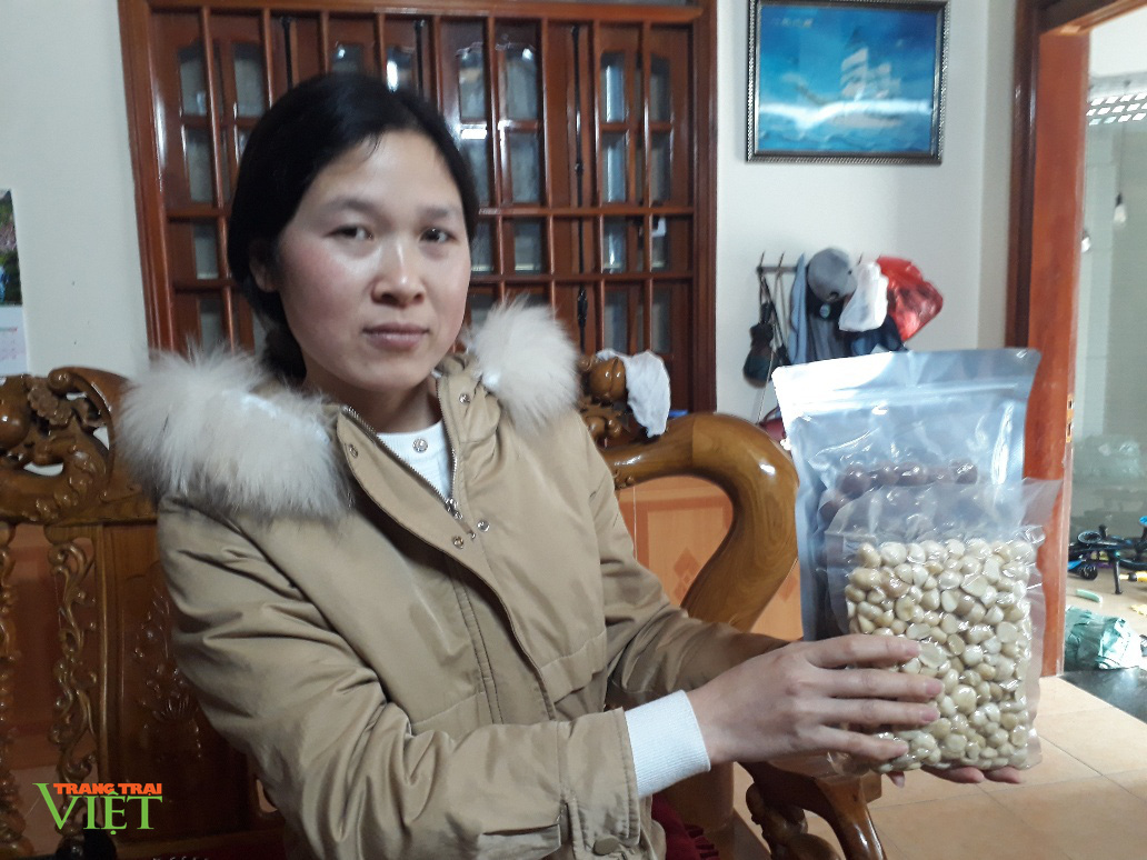 Lai Châu: Hạt mắc ca khô thơm ngon bổ dưỡng, ăn một lần nhớ mãi - Ảnh 2. Lai Châu: Hạt mắc ca khô thơm ngon bổ dưỡng, ăn một lần nhớ mãi - Ảnh 2.