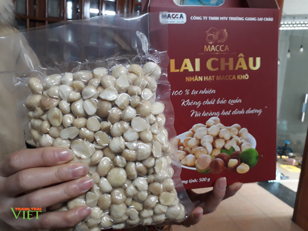 Lai Châu: Hạt mắc ca khô thơm ngon bổ dưỡng, ăn một lần nhớ mãi - Ảnh 1. Lai Châu: Hạt mắc ca khô thơm ngon bổ dưỡng, ăn một lần nhớ mãi - Ảnh 1.