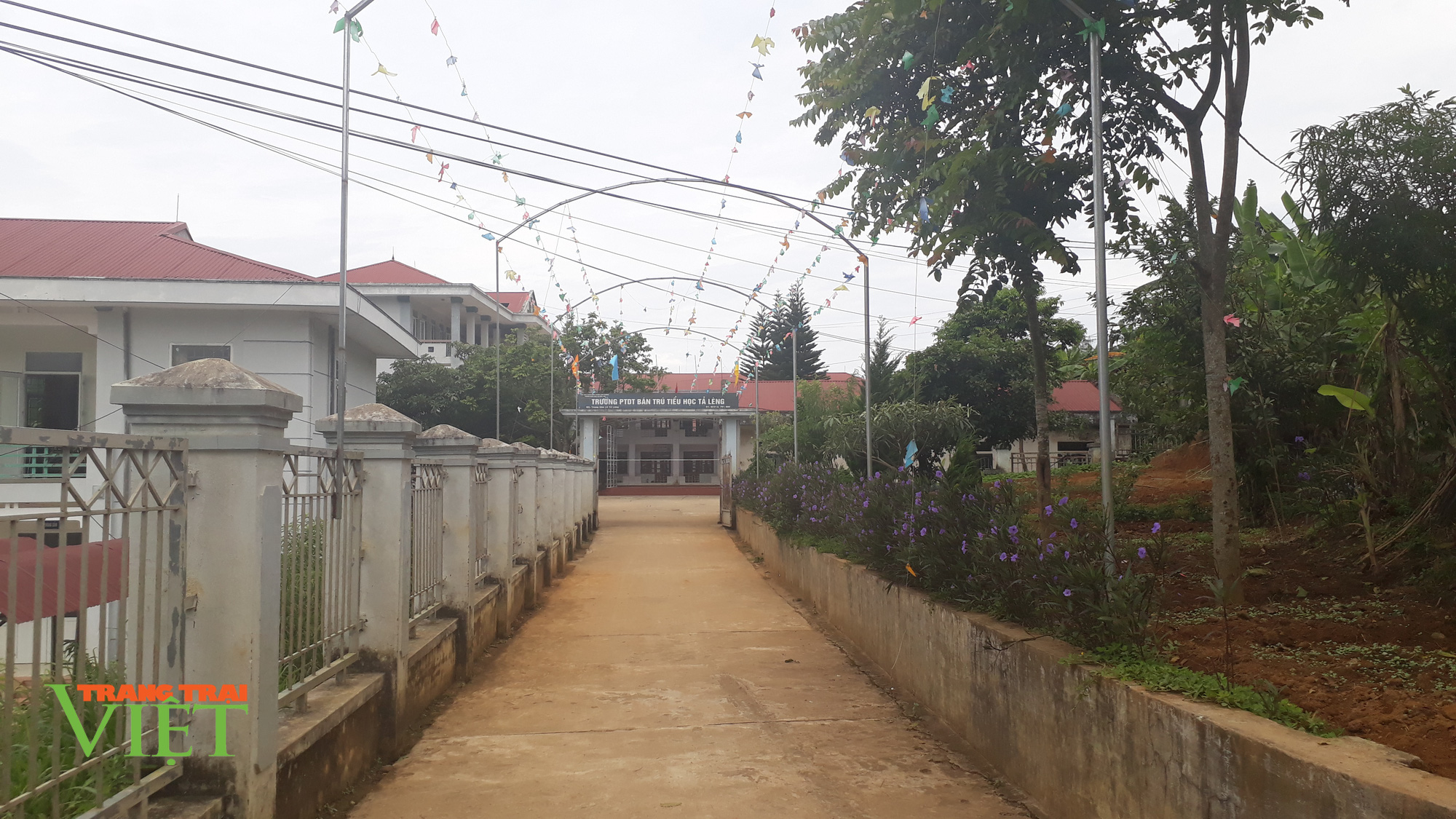 Đòn bẩy xây dựng nông thôn mới ở Tam Đường - Ảnh 3. Đòn bẩy xây dựng nông thôn mới ở Tam Đường - Ảnh 3.