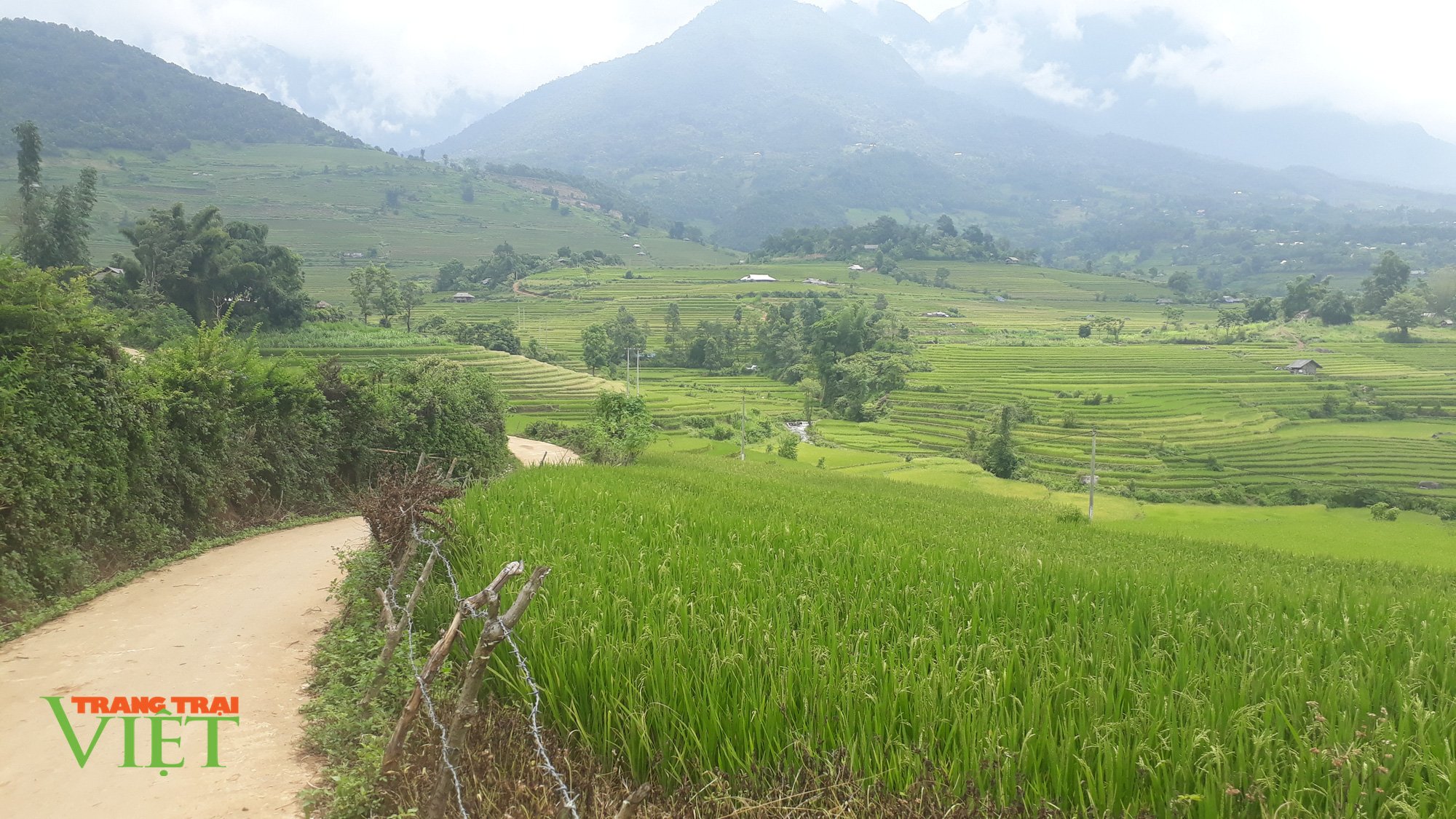 Đòn bẩy xây dựng nông thôn mới ở Tam Đường - Ảnh 1. Đòn bẩy xây dựng nông thôn mới ở Tam Đường - Ảnh 1.