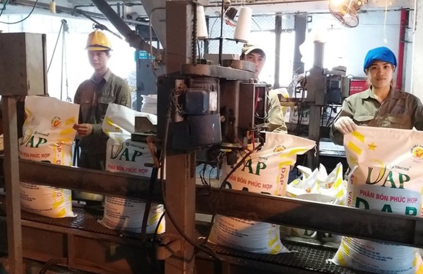 Vì sao DAP ngoại tăng giá, nông dân vẫn chuộng mua? - Ảnh 1.