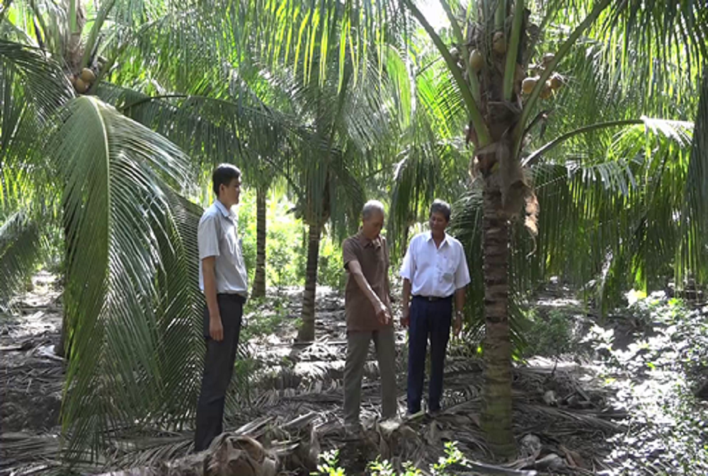 Tiền Giang: Nông dân vùng hạn mặn sau bội thu giá lúa, lại tiếp tục “hốt bạc” nhờ trái này  - Ảnh 3.