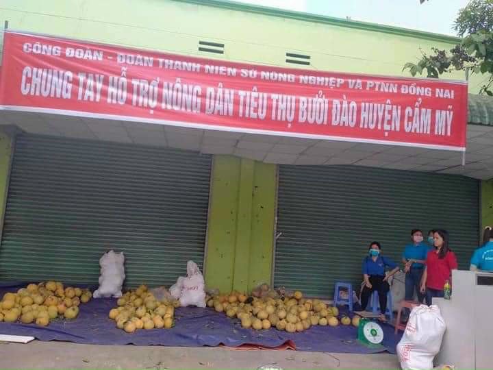 Đồng Nai làm đủ mọi cách để &quot;thoát&quot; giải cứu nông sản - Ảnh 8.