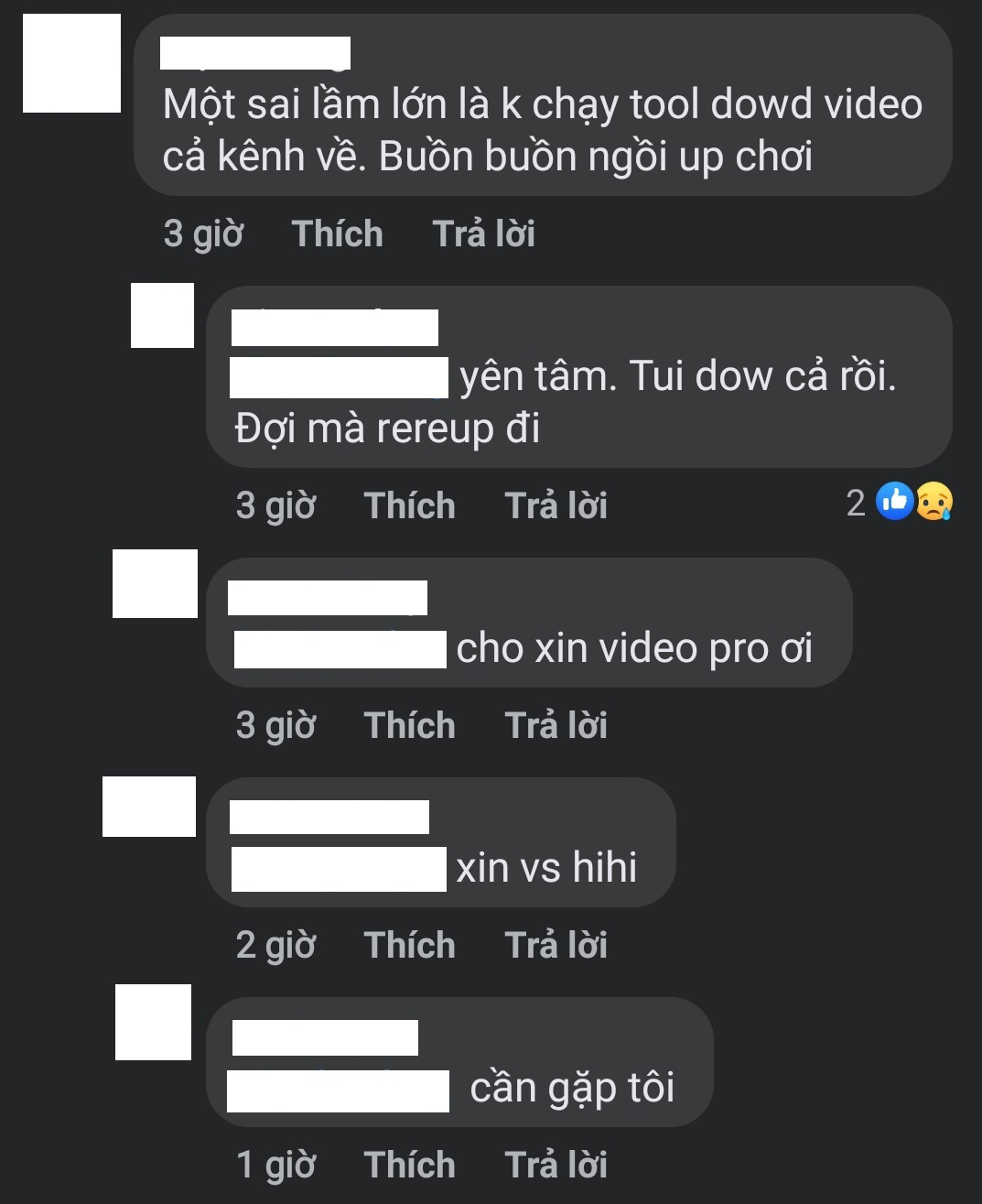 Thơ Nguyễn - Ảnh 4.