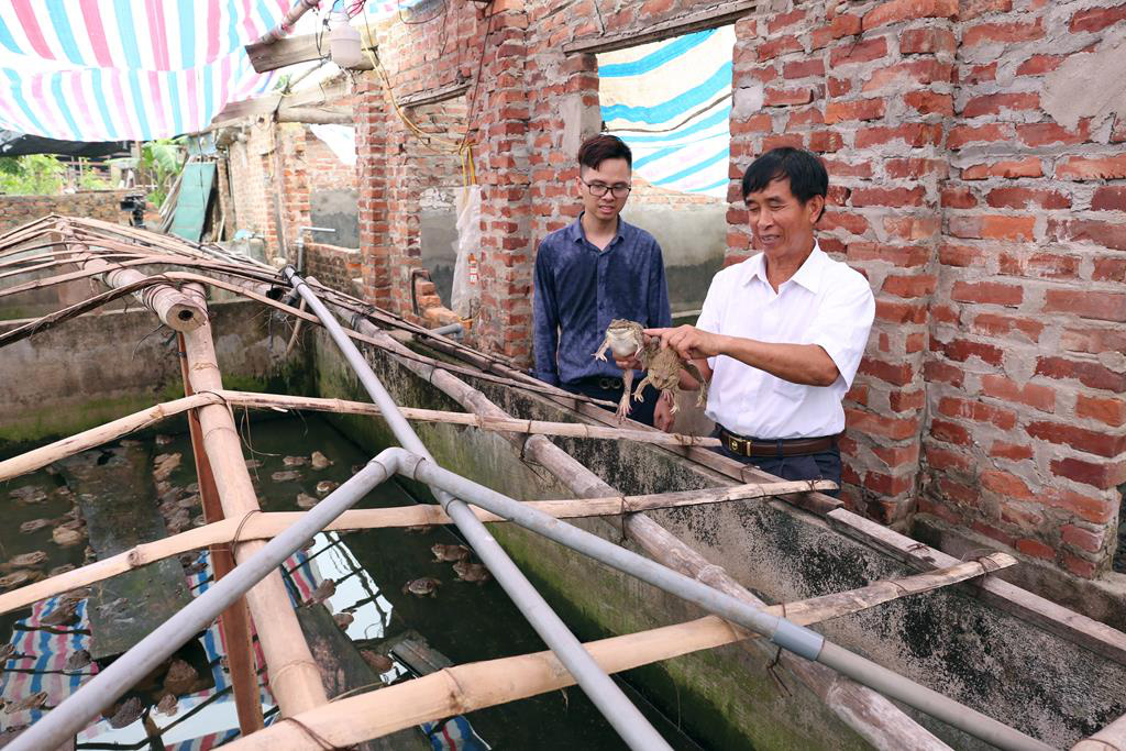 Kết nối nông dân giỏi, nhân rộng mô hình hay - Ảnh 3.