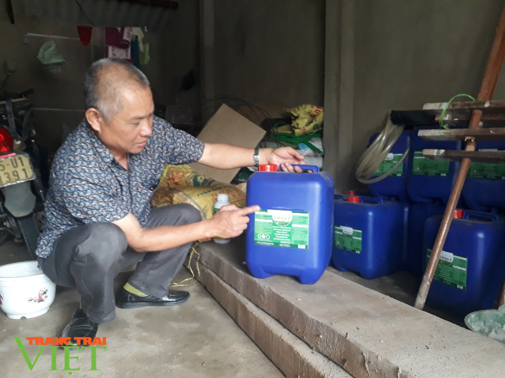 Trồng 5ha chè, thuê từ A đến Z, ông nông dân này “đút túi” gần 400 triệu đồng/năm - Ảnh 2. Trồng 5ha chè, thuê từ A đến Z, ông nông dân này “đút túi” gần 400 triệu đồng/năm - Ảnh 2.