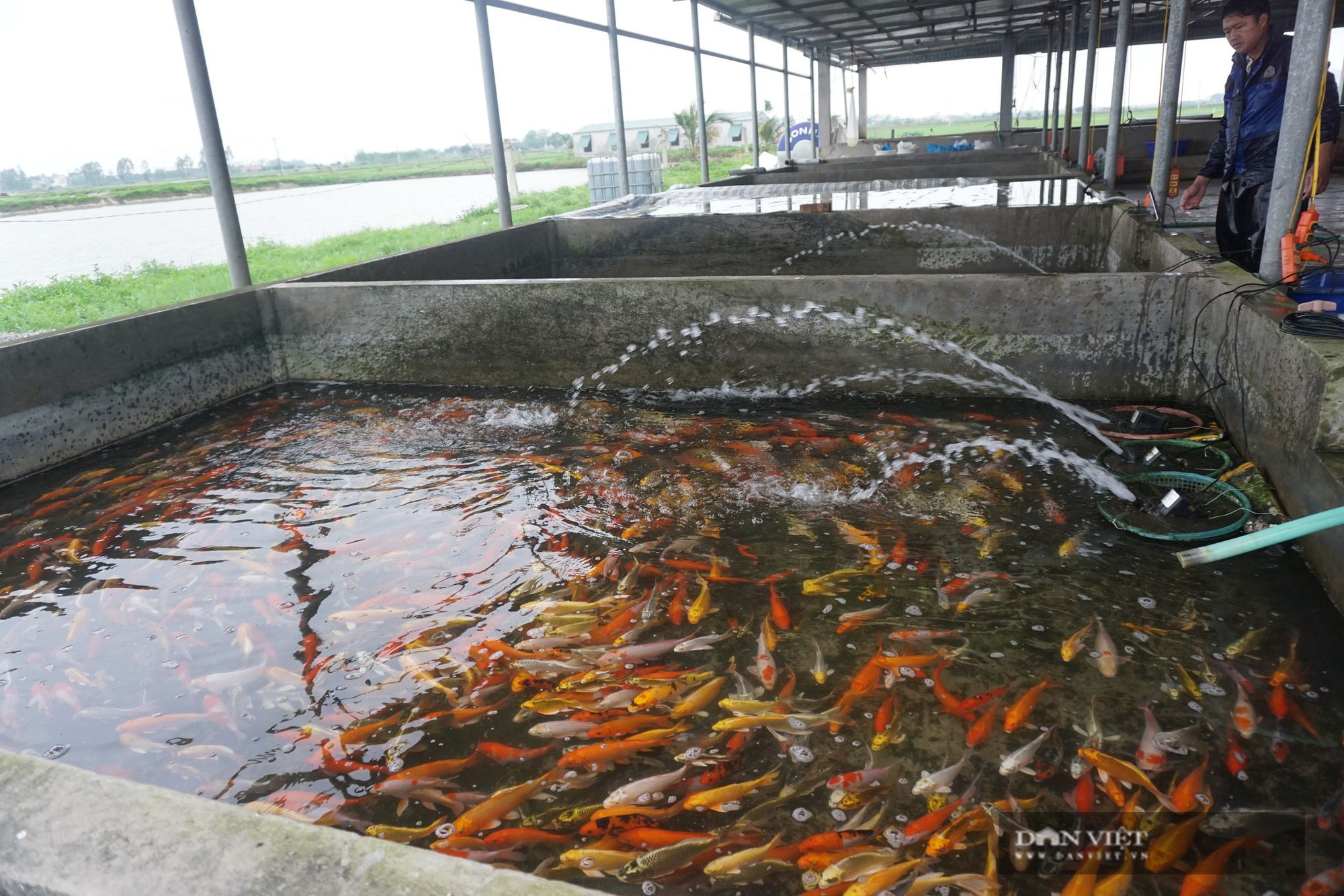 Nam Định:  - Ảnh 2.