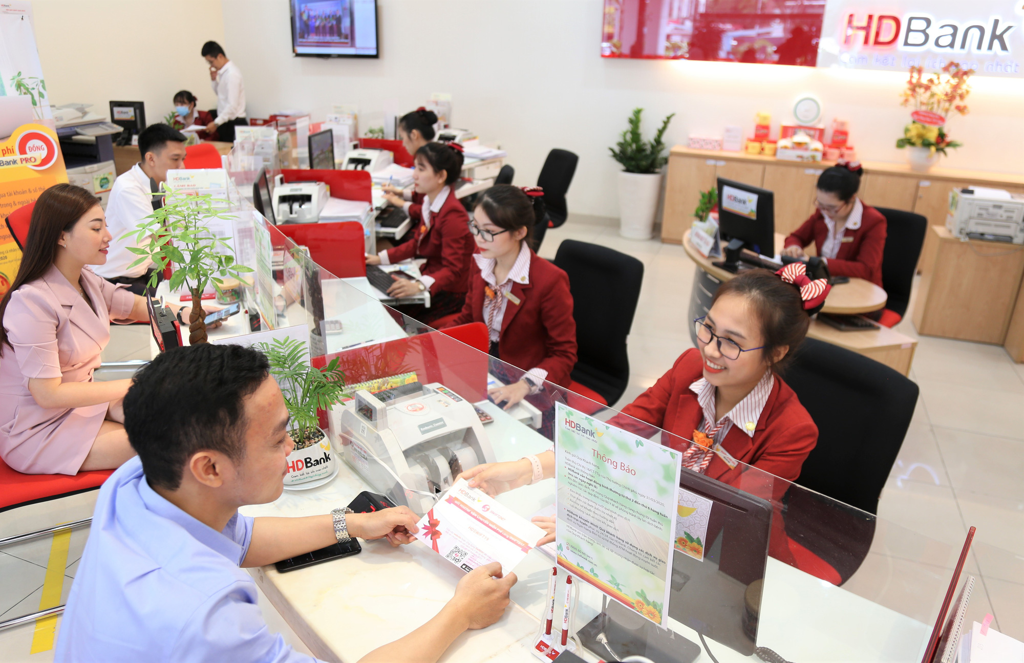 Ngân hàng trẻ hóa đội ngũ, rầm rộ tuyển sinh viên năm 3-4 - Ảnh 3.