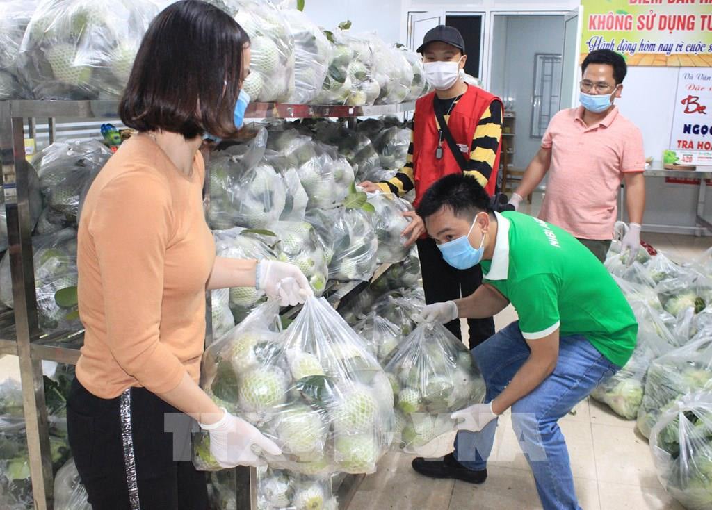 Người dân Ninh Bình tiêu thụ nông dân cho nông dân Hải Dương - Ảnh 2.