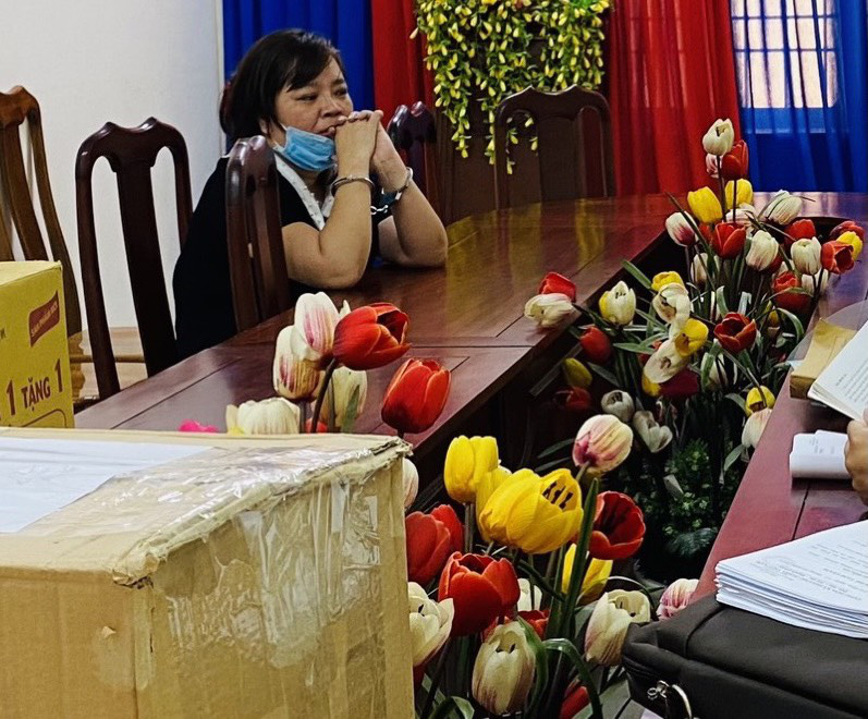 Cà Mau: Bắt tạm giam một nữ giám đốc để điều tra hành vi lừa đảo - Ảnh 1.