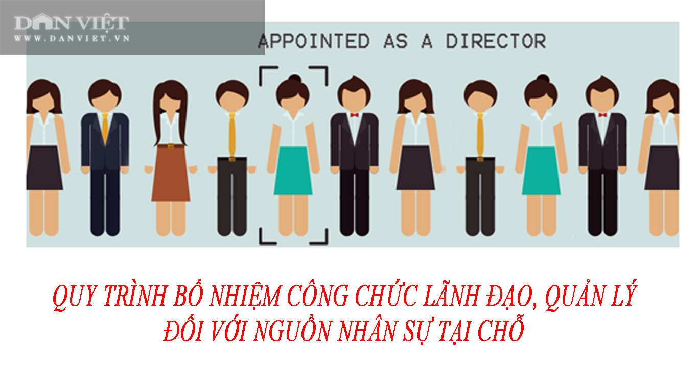 Quy trình bổ nhiệm công chức lãnh đạo, quản lý - Ảnh 1.